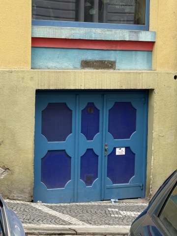 Detail rondkubistických dveří, Žižkov