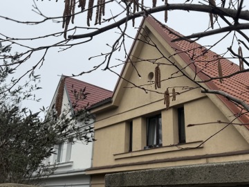 Architektonický detail zrekonstruované fasády rondokubistického domku ve Strašnicích